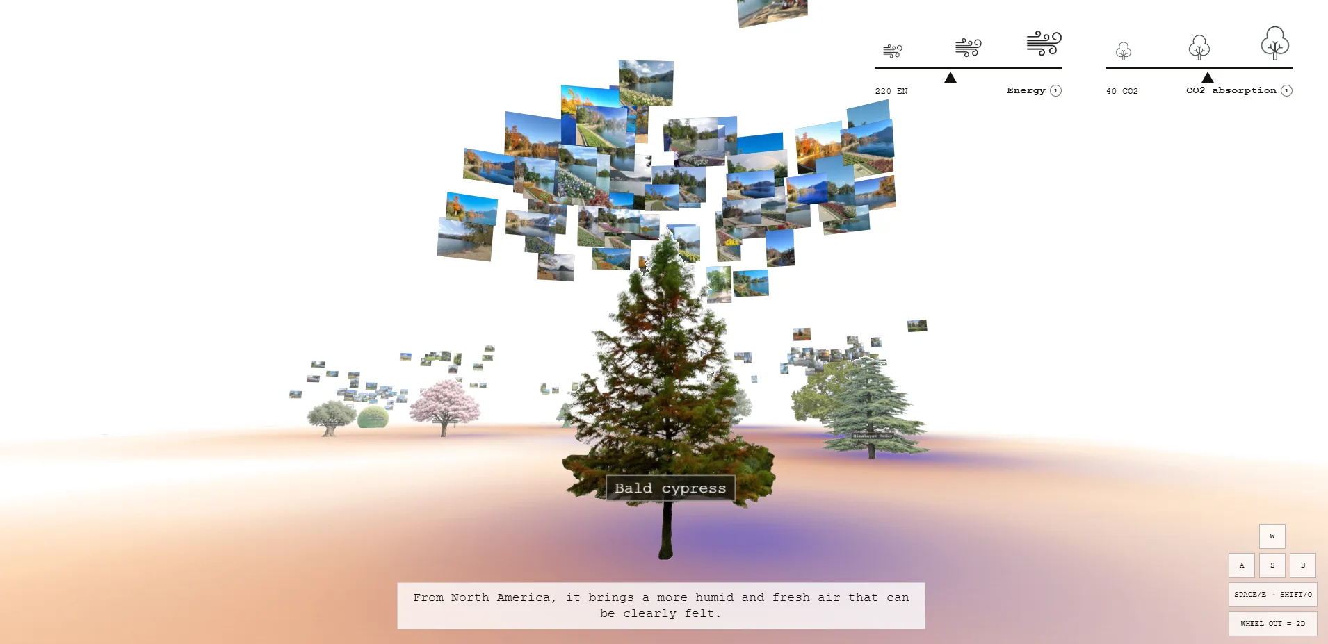 Arboreal Metrics image