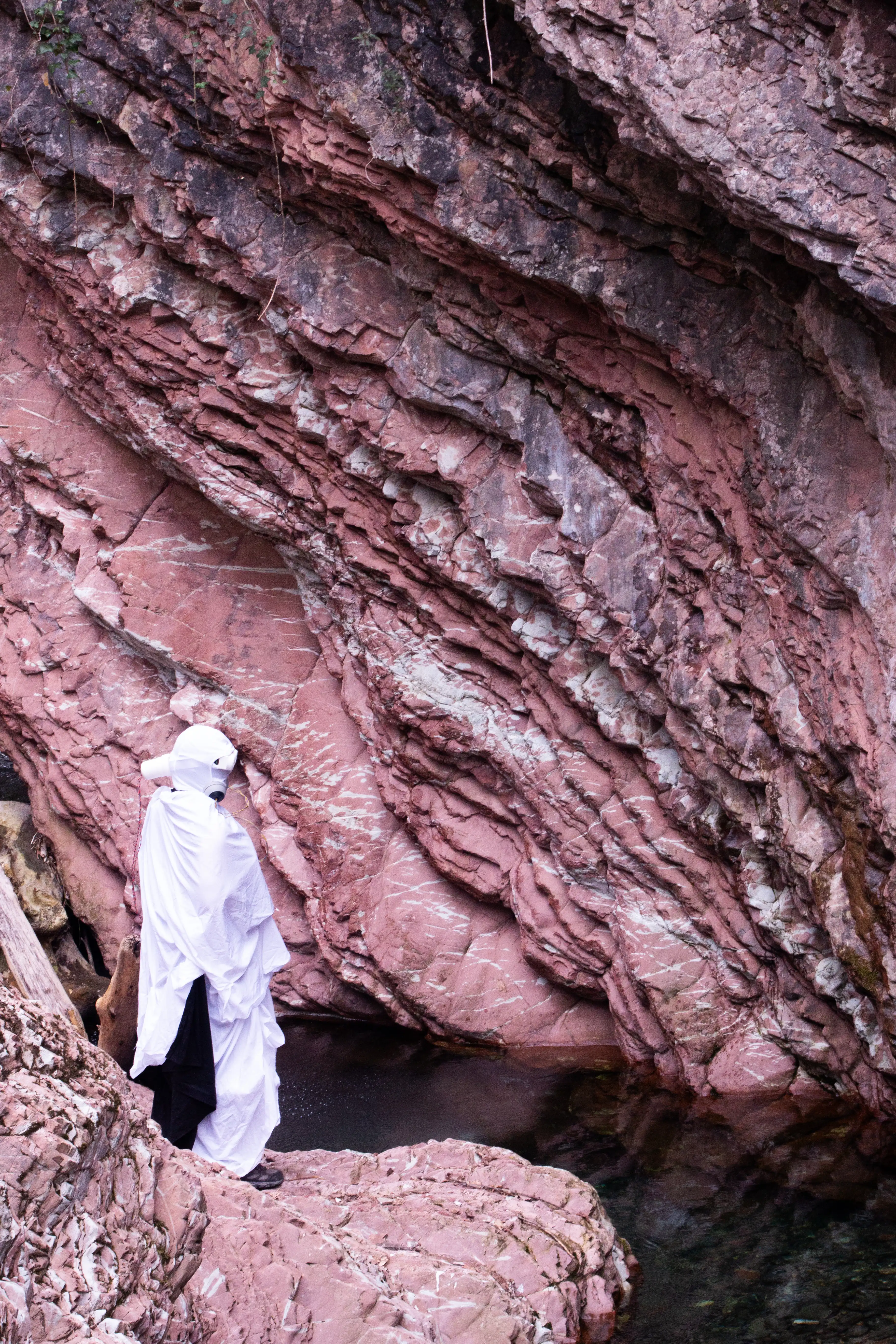 deusin-machina image